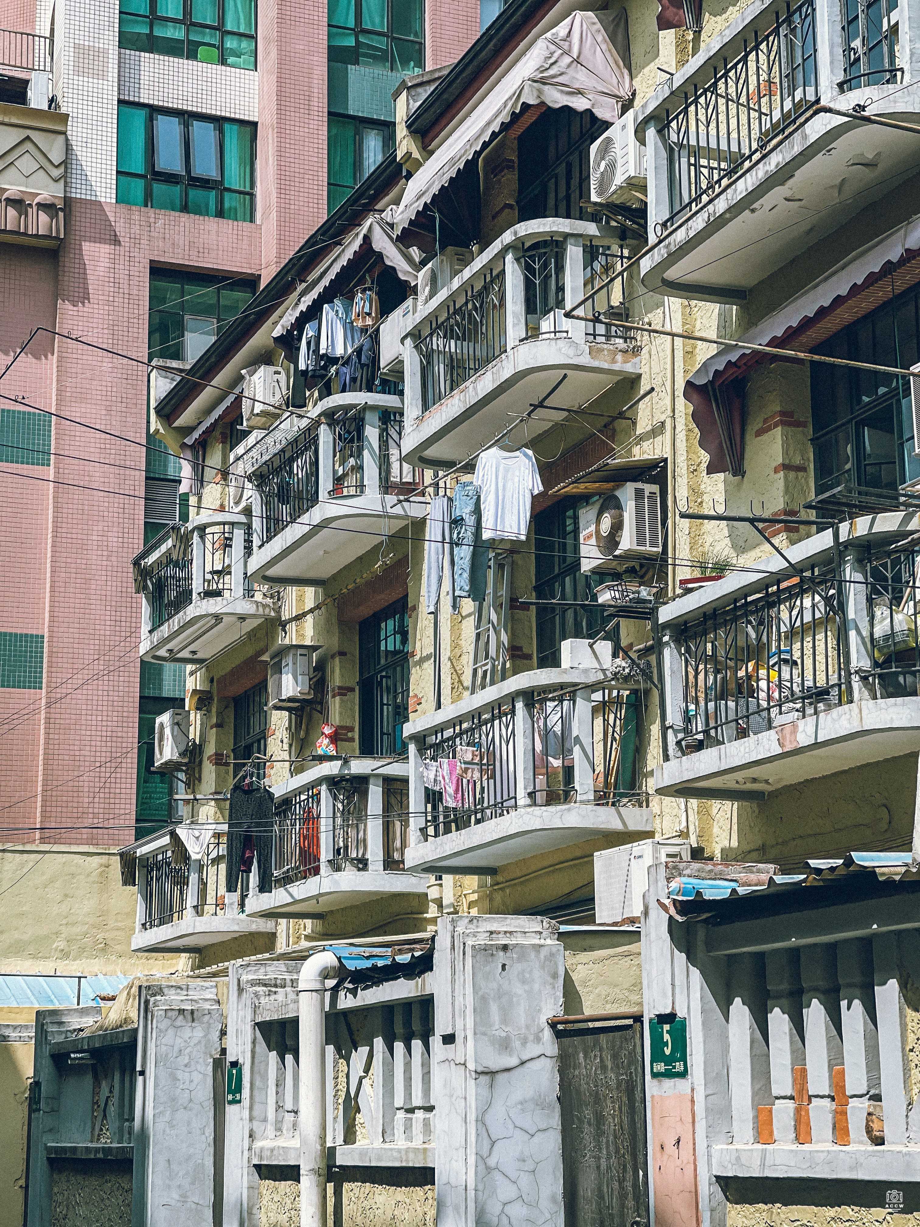 沁园村 图片4