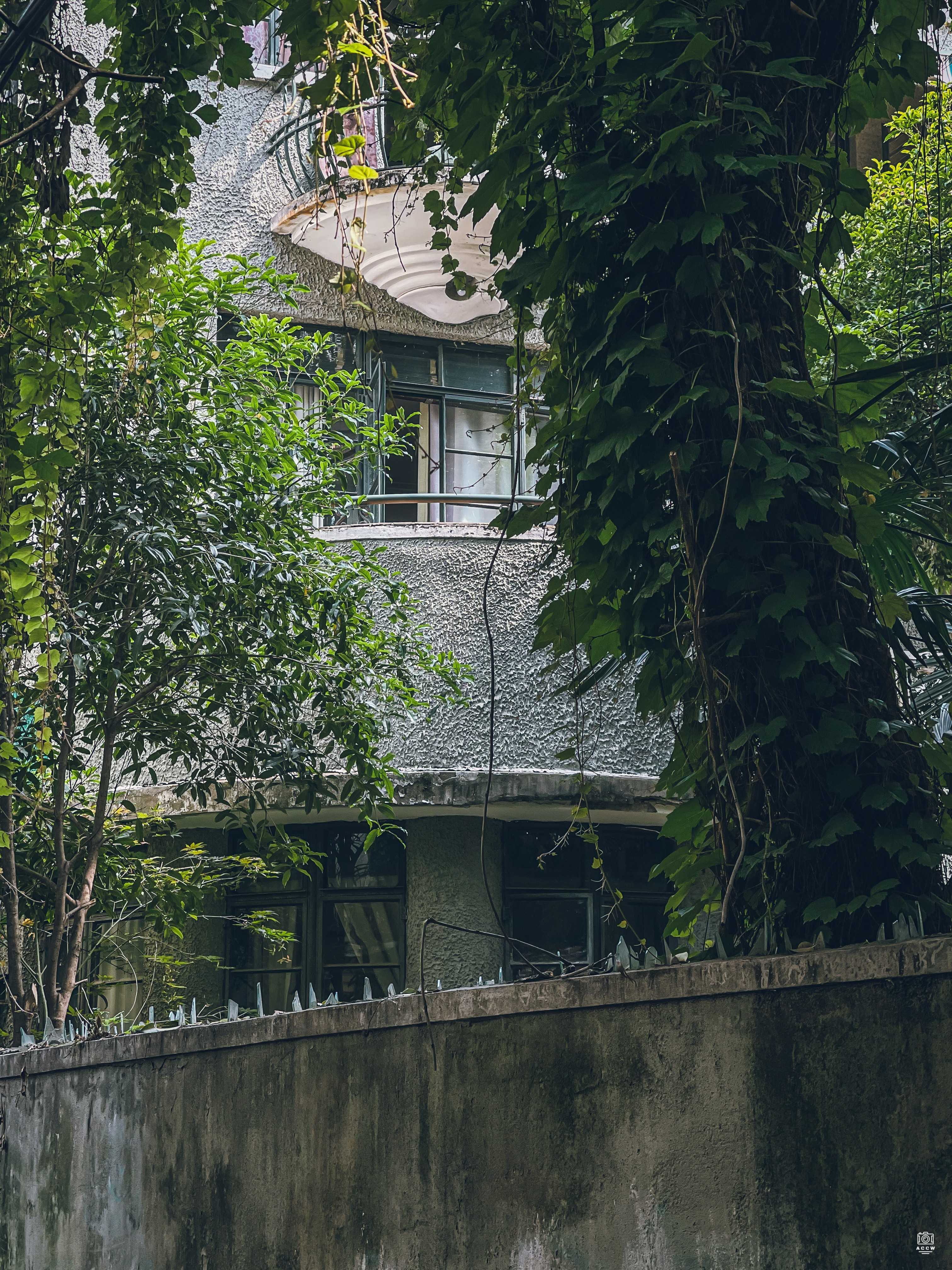 新闸路1340弄21号住宅 图片5
