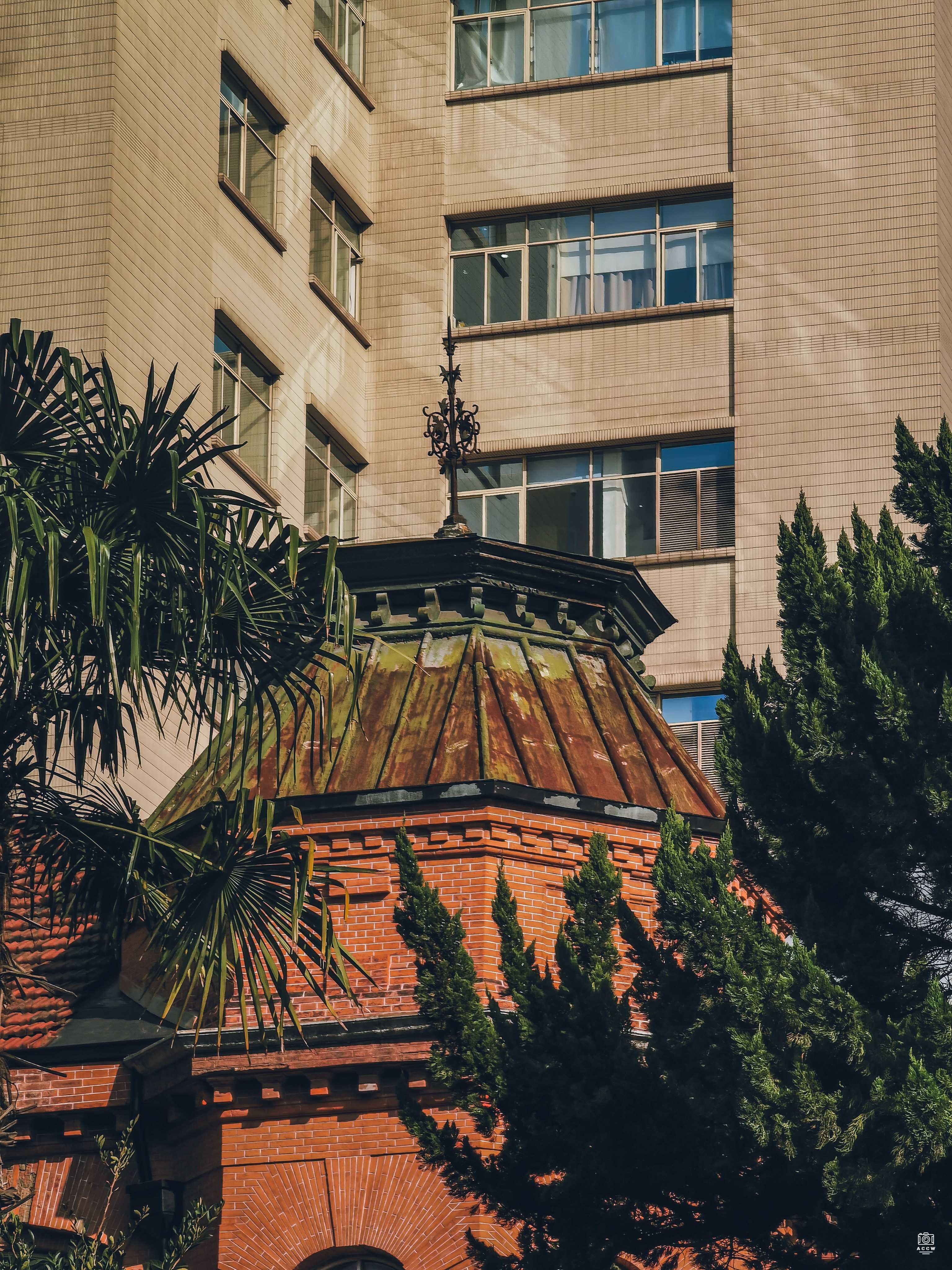 中国红十字会医院 图片4