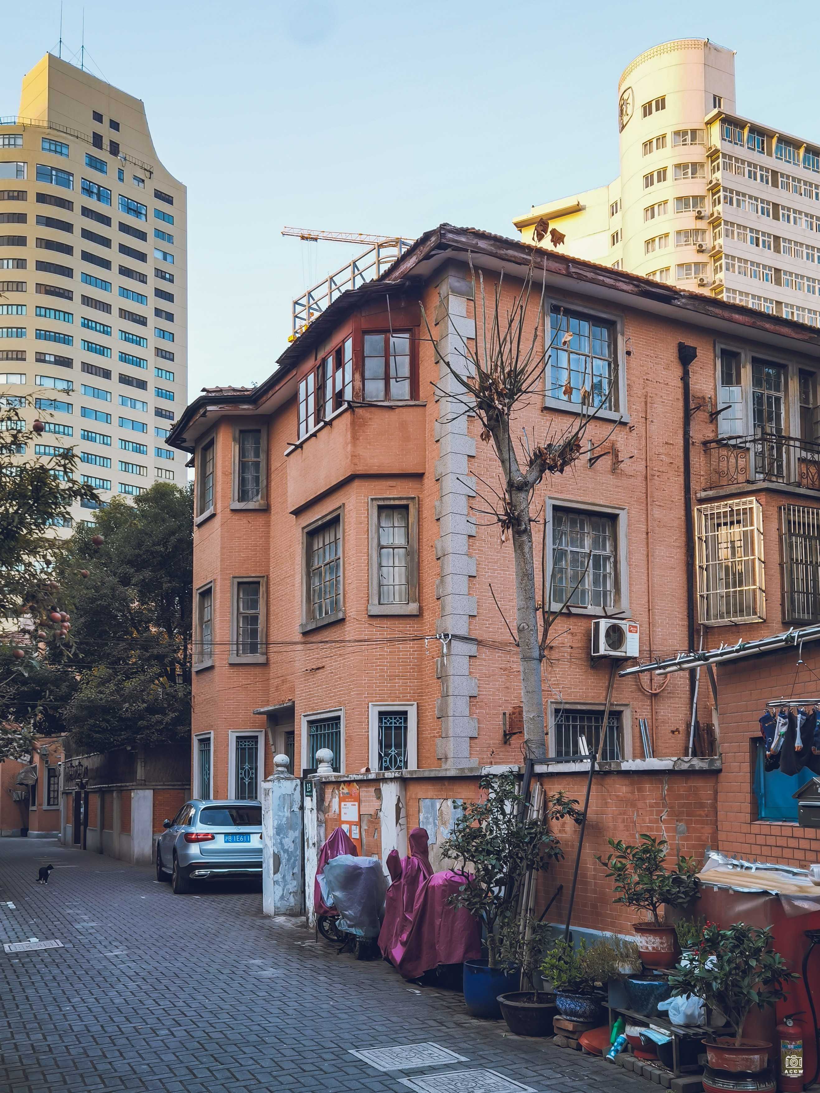 美丽园  图片2