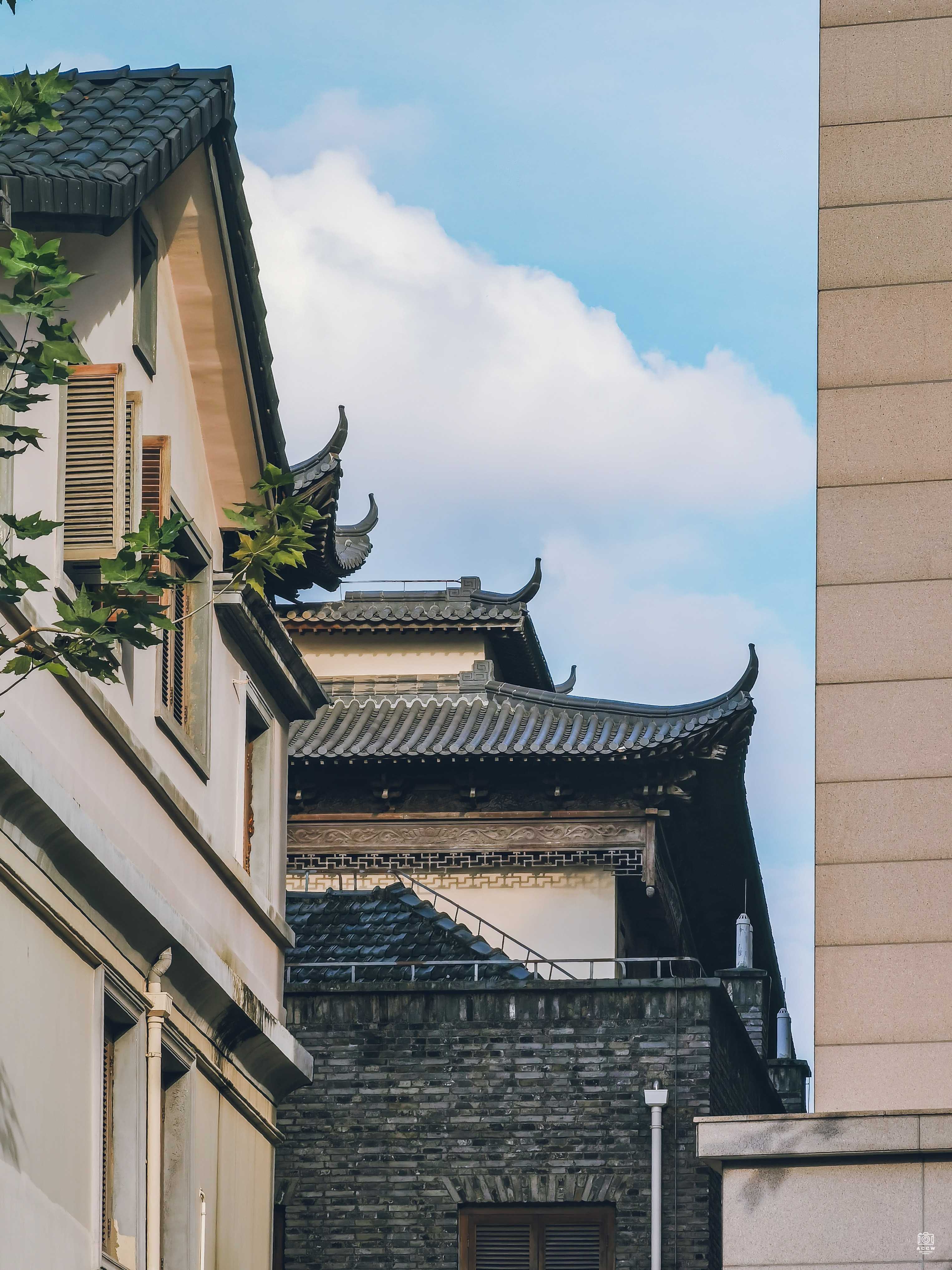 居士林 图片6