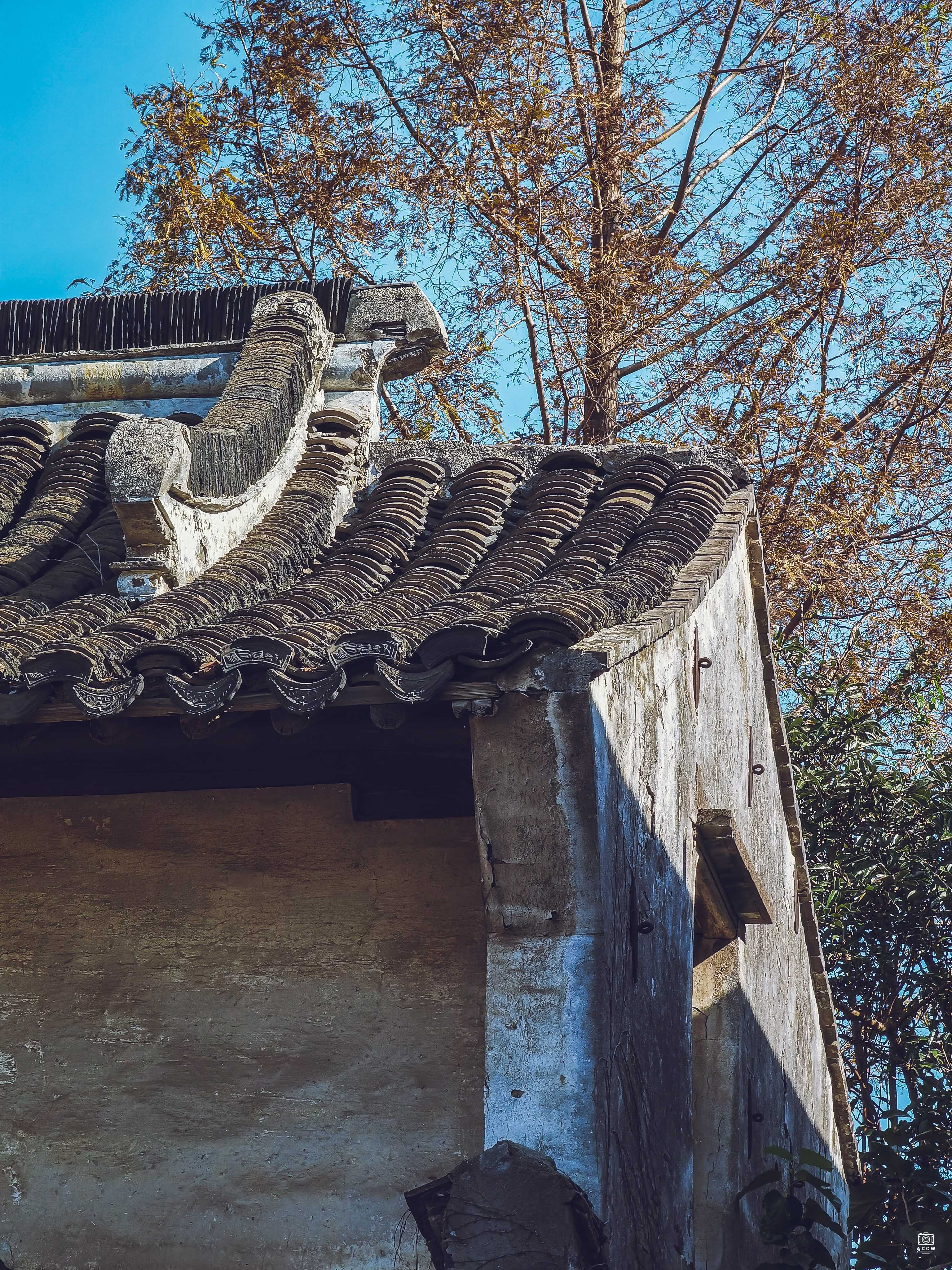 川沙护塘街住宅 图片4