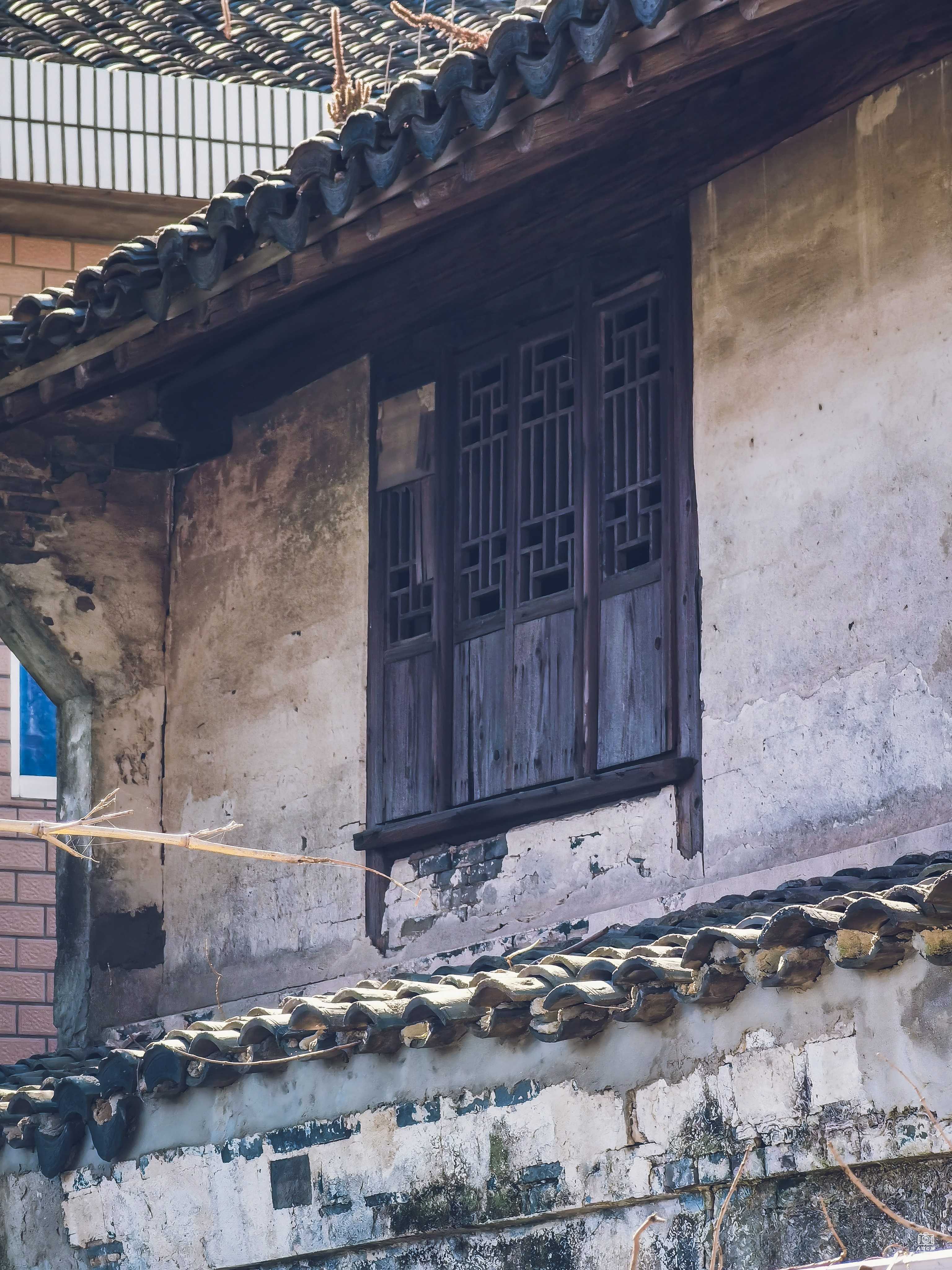 川沙护塘街住宅 图片5