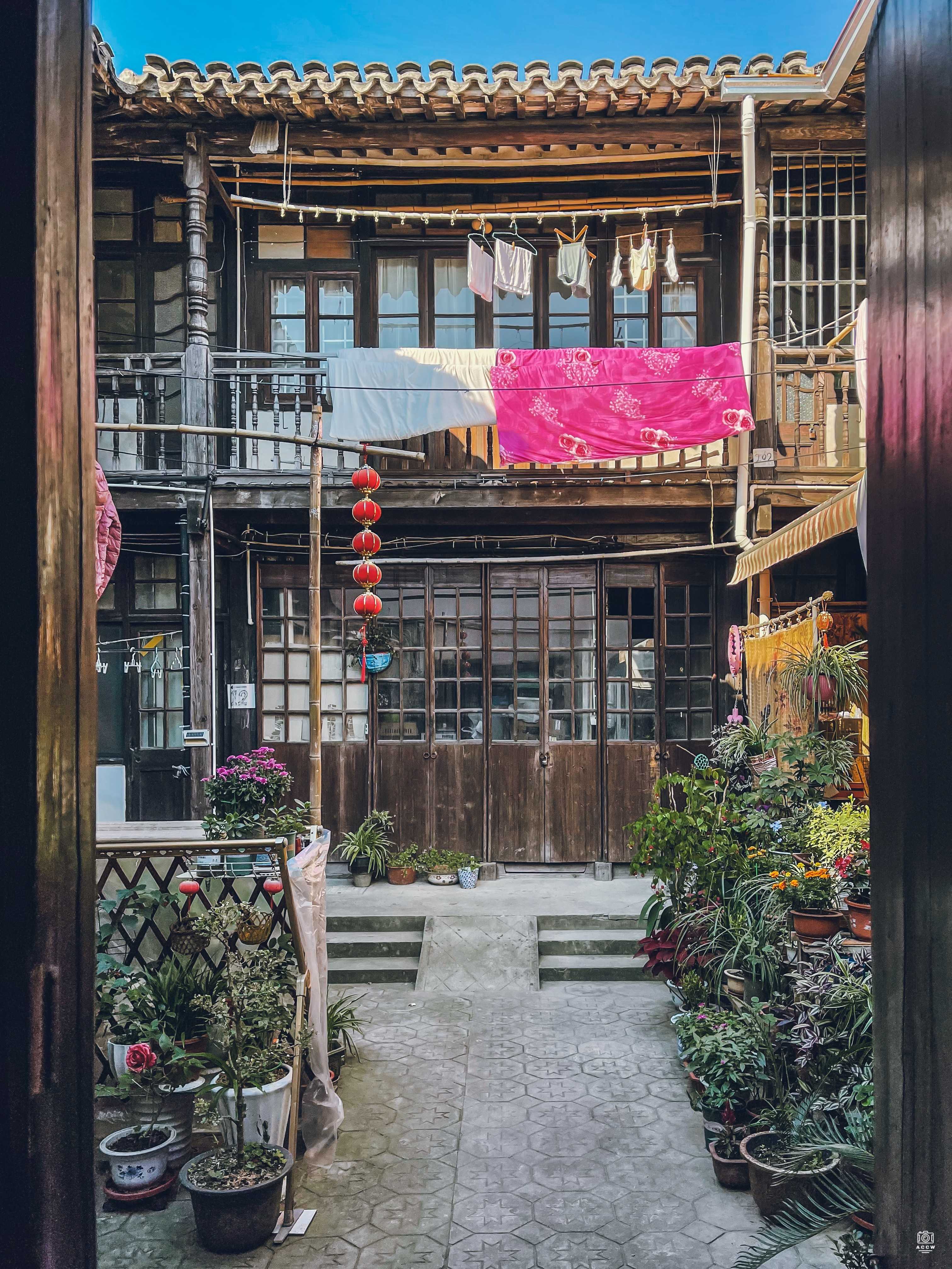 叶氏花行 图片3