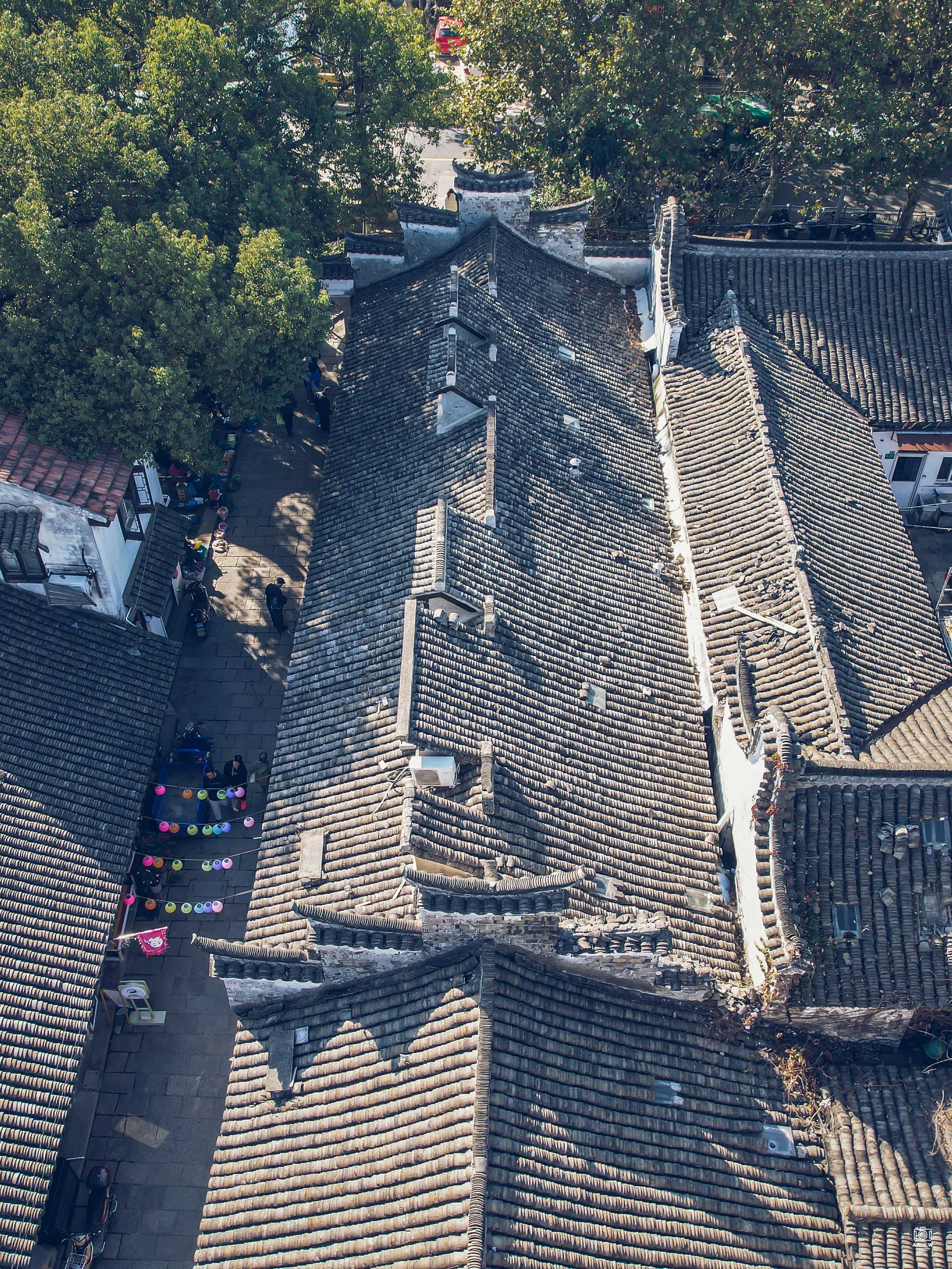 叶氏花行 图片5
