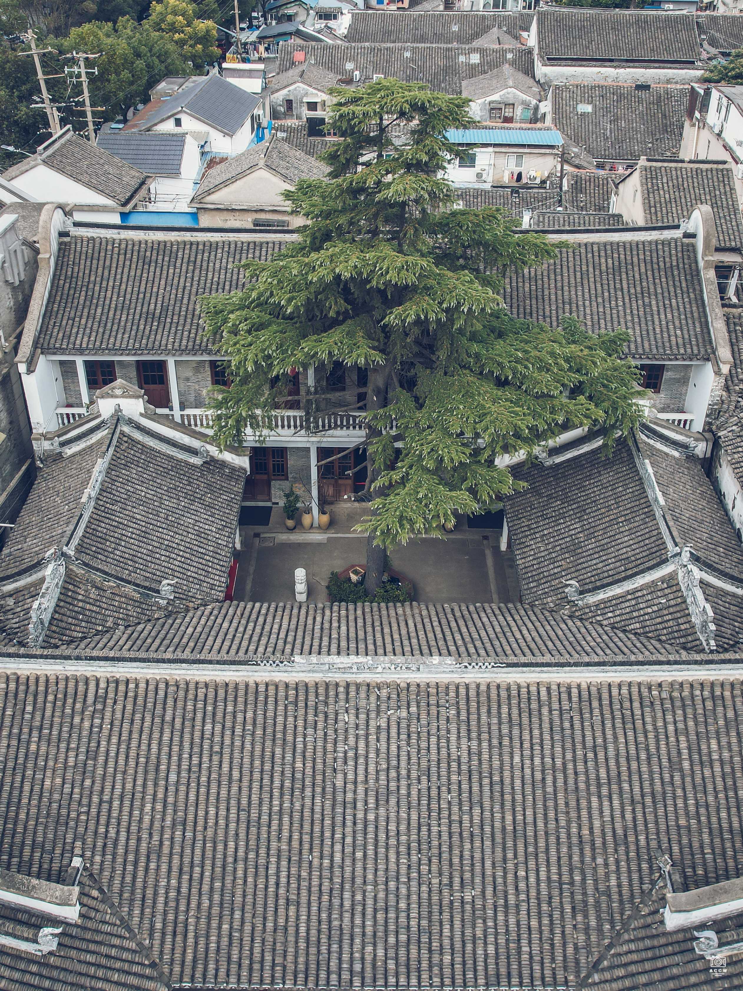 江东书院 图片6