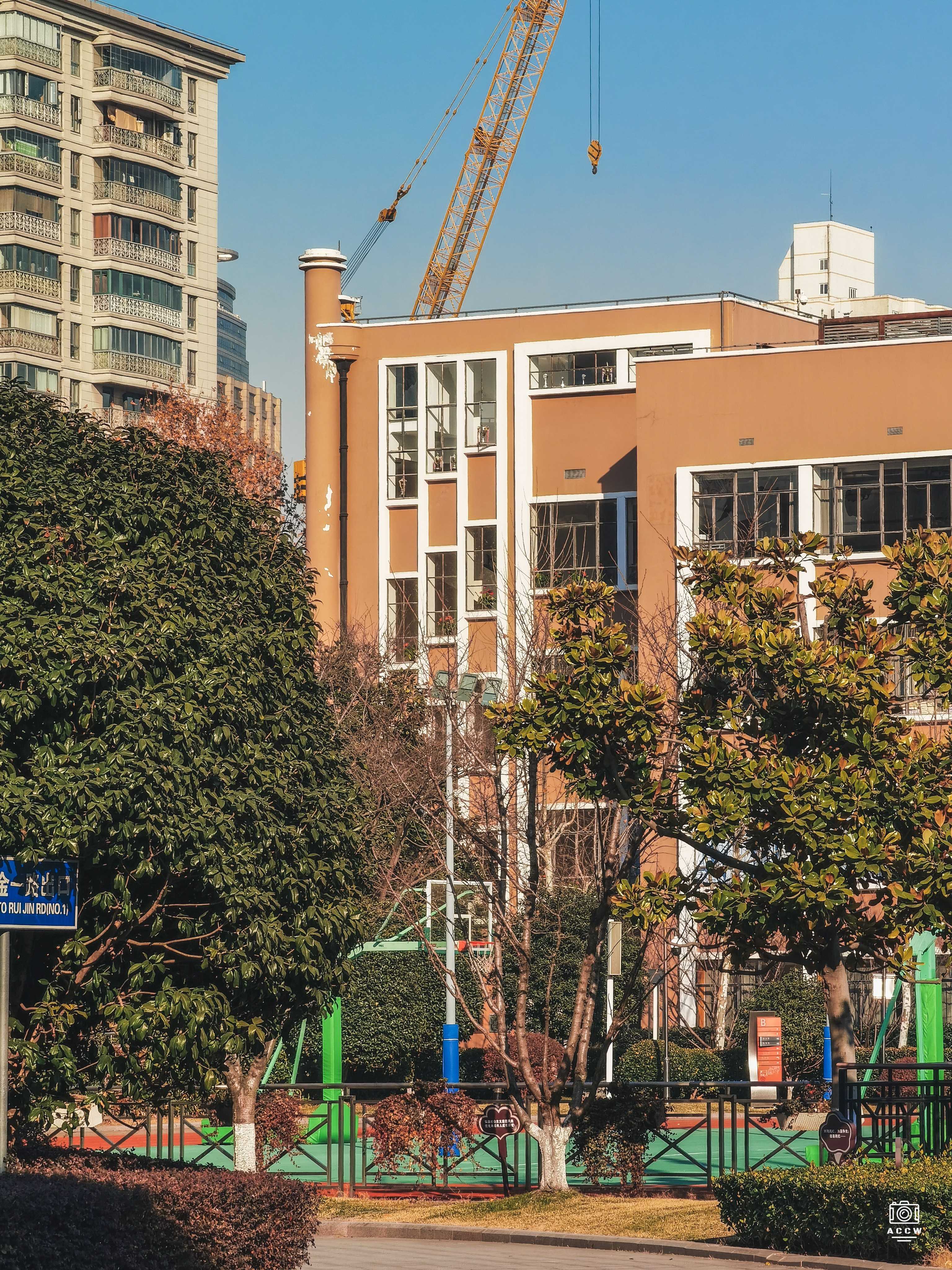 震旦女子文理学院 图片2