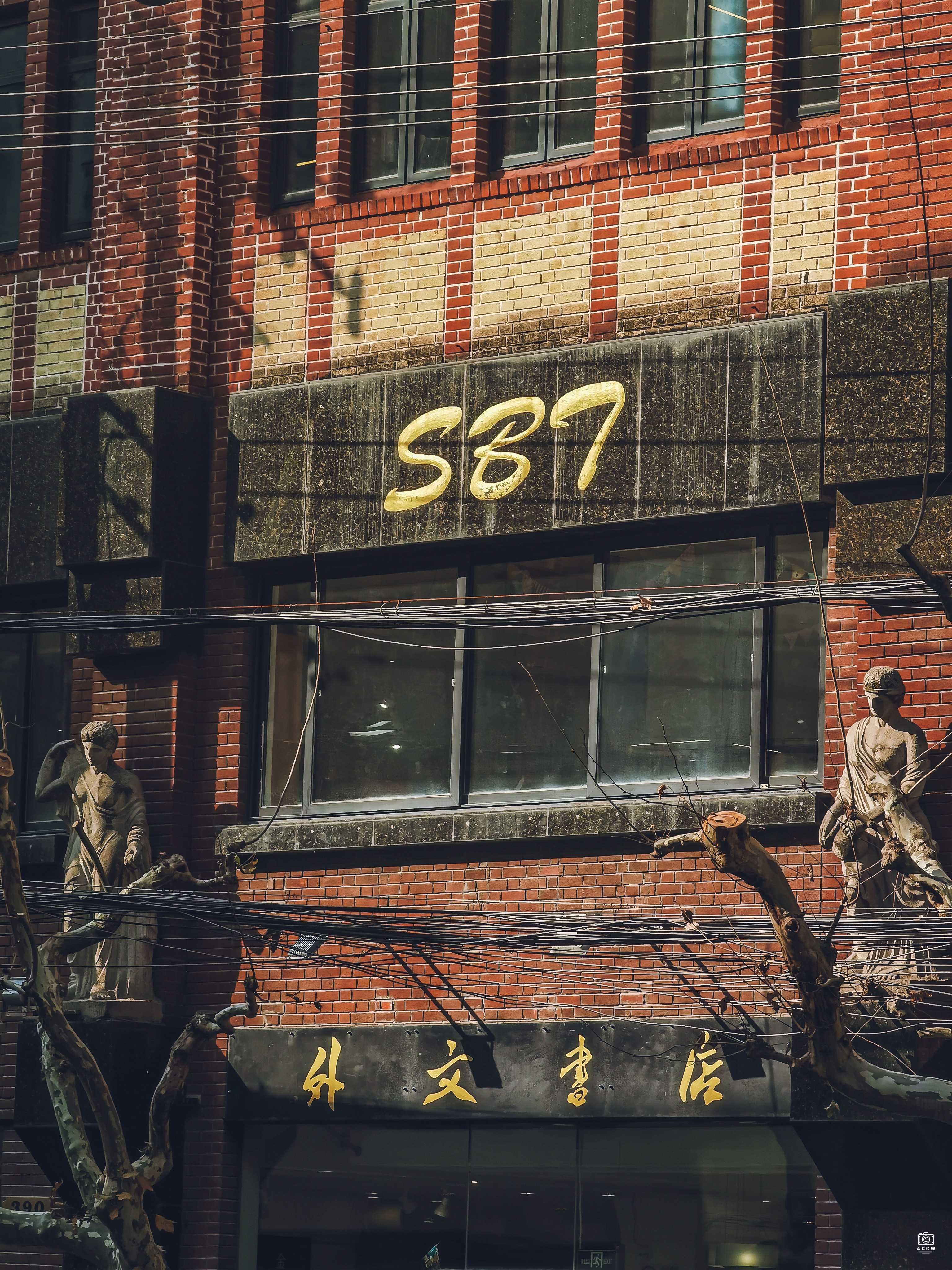 世界书局 图片4